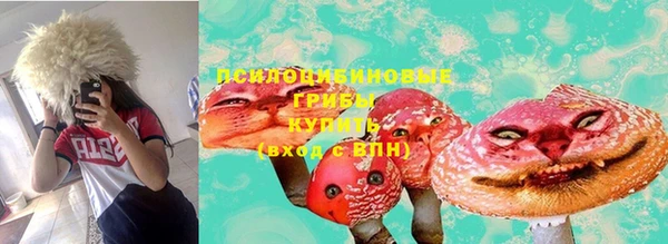 соль курить ск Верея