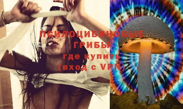 соль курить ск Верея